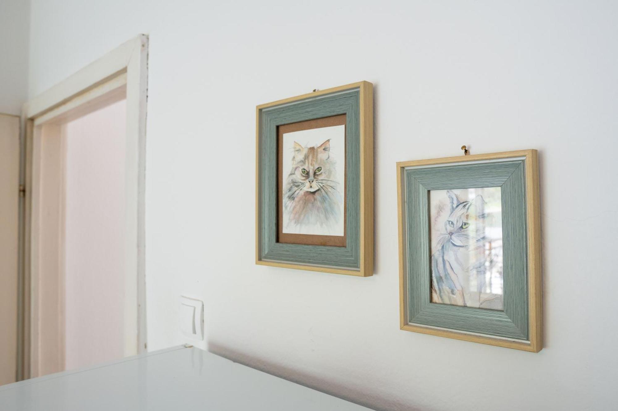 M&B Apartment Котор Екстериор снимка